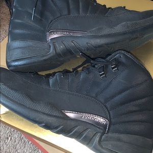 Jordan 12 WNT